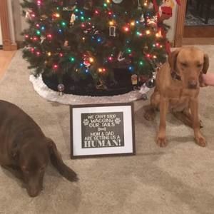 Meet your Posher, Jamie